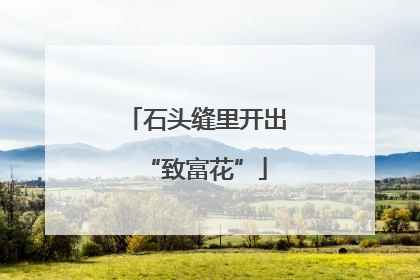 石头缝里开出“致富花”